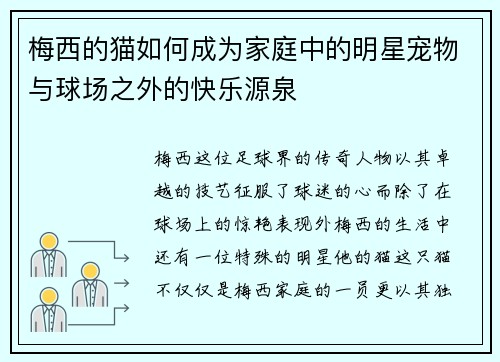 梅西的猫如何成为家庭中的明星宠物与球场之外的快乐源泉